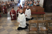relikwie bł. rodziny Ulmów