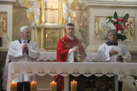relikwie bł. rodziny Ulmów