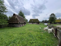 Pielgrzymka na Podkarpacie